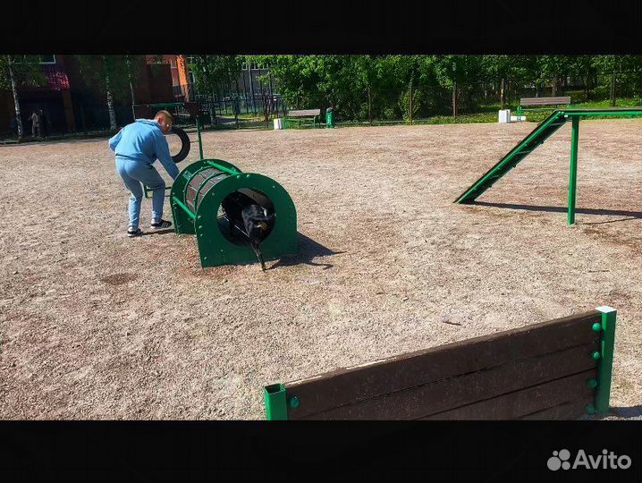 Кинолог / Зоопсихолог