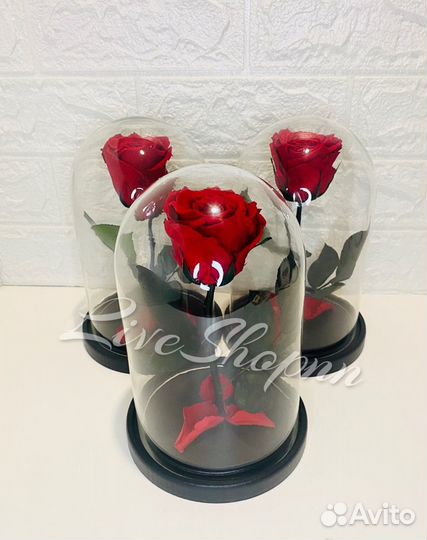 Роза в колбе