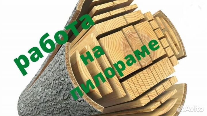 Рамщик на ленточную пилораму