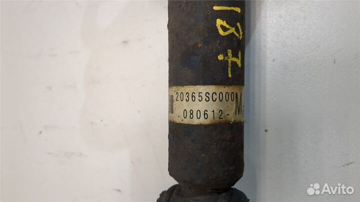 Амортизатор подвески Subaru Forester (S12), 2009