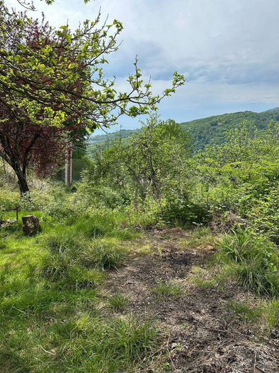 Участок 5 сот. (СНТ, ДНП)