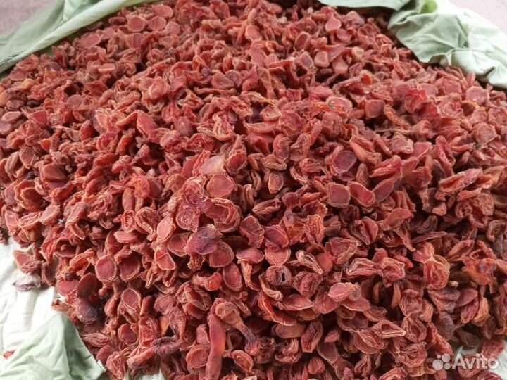 Курага сорт раннеспелый