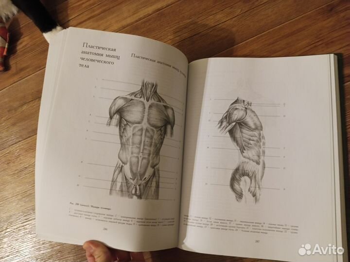 Николай Ли основы учебного академического рисунка