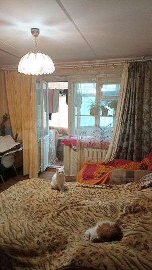 2-к. квартира, 50,1 м², 2/5 эт.