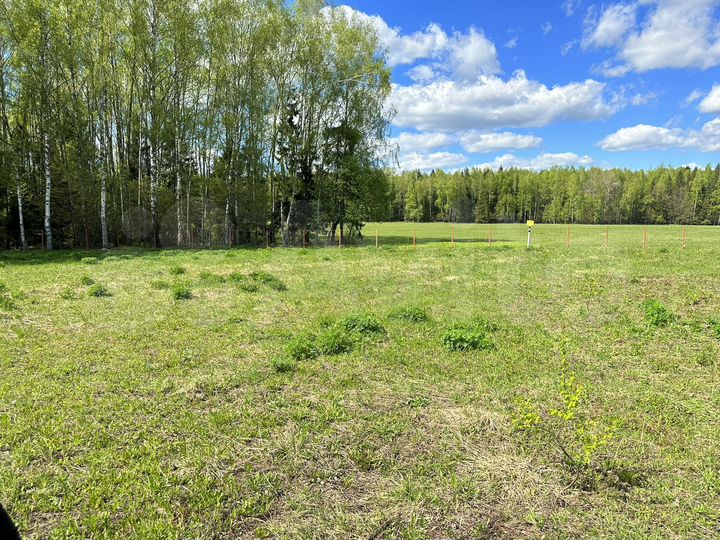 Участок 15,6 сот. (СНТ, ДНП)