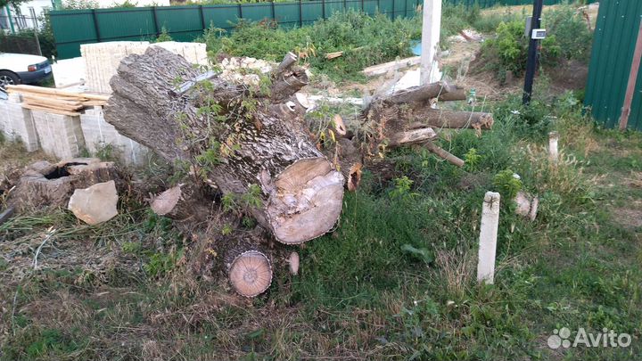 Отдам бесплатно на дрова