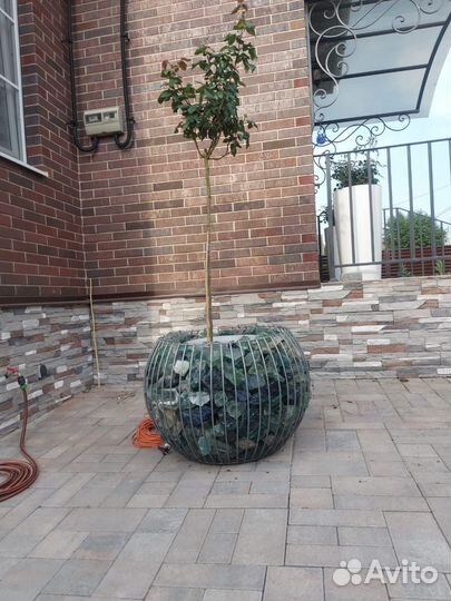 Вазон большой