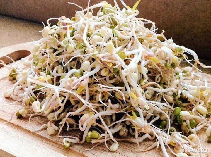 Проростки маша