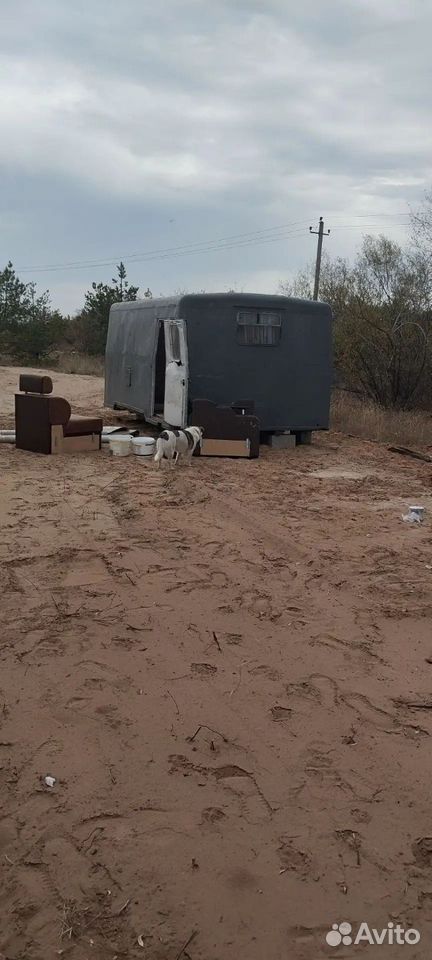 Щенок в добрые руки, Волгоград