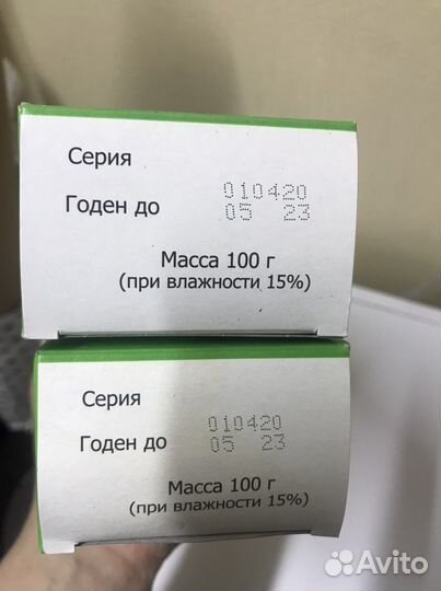 Ламинарии слоевища