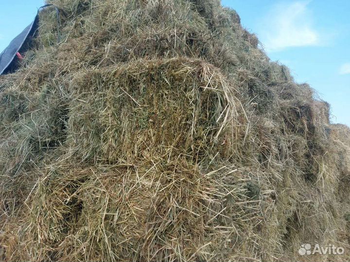Сено, солома в тюках