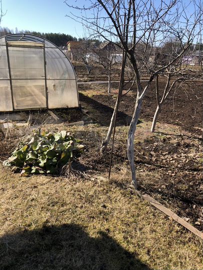 Дача 27 м² на участке 6 сот.