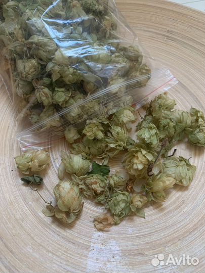 Хмель сушеный