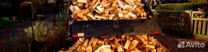 Дрова осина