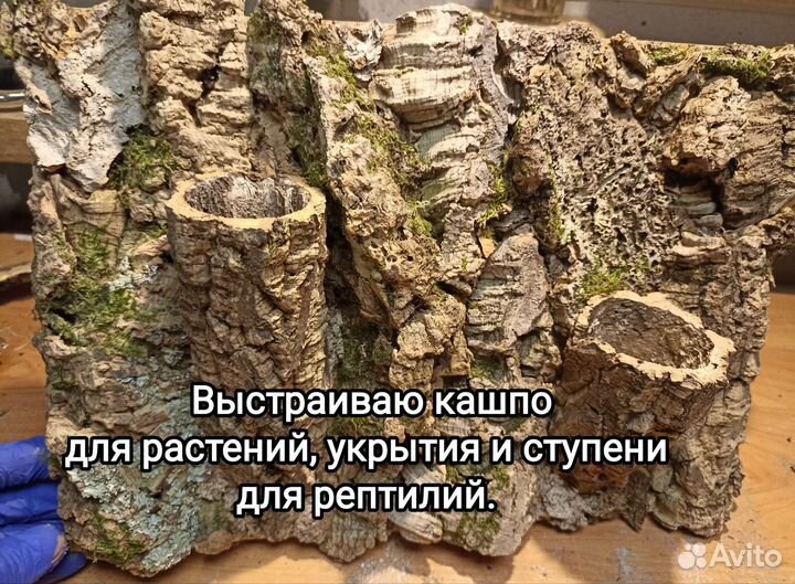 Фон для террариума, пробковая кора, орхидариум