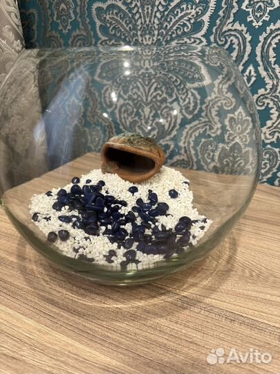 Аквариум с наполнениеи