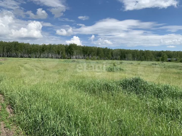 Участок 10,3 сот. (СНТ, ДНП)