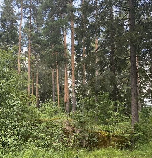 Участок 9 сот. (ИЖС)