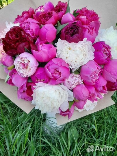 Пионы букет