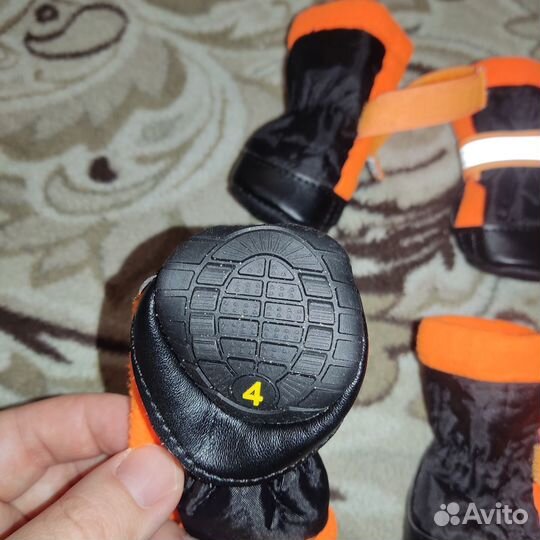 Обувь для собак