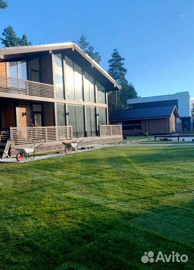 Рулонный газон