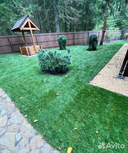 Рулонный газон