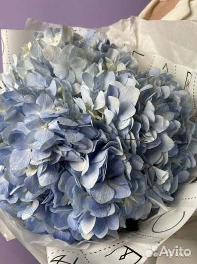 Живые цветы букеты