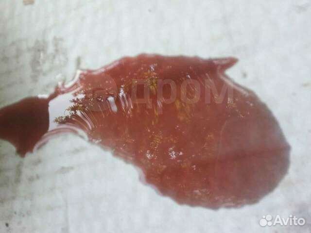 Гидротрансформатор АКПП mitsubishi pajero 4m41