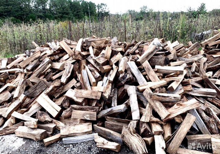 Дрова осина