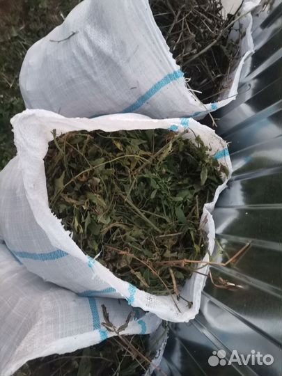 Трава скошенная в мешках