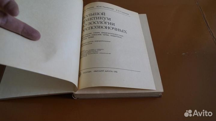 Большой практикум по зоологии безпозвоночных 1981