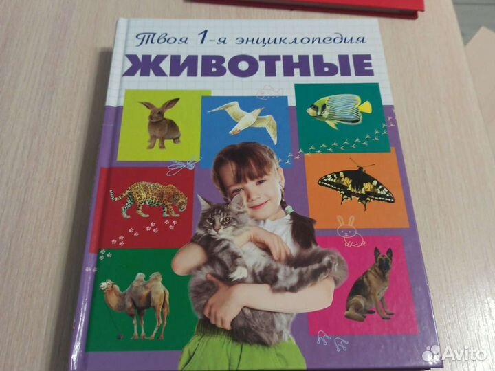 Энциклопедии для дошкольников и школьников