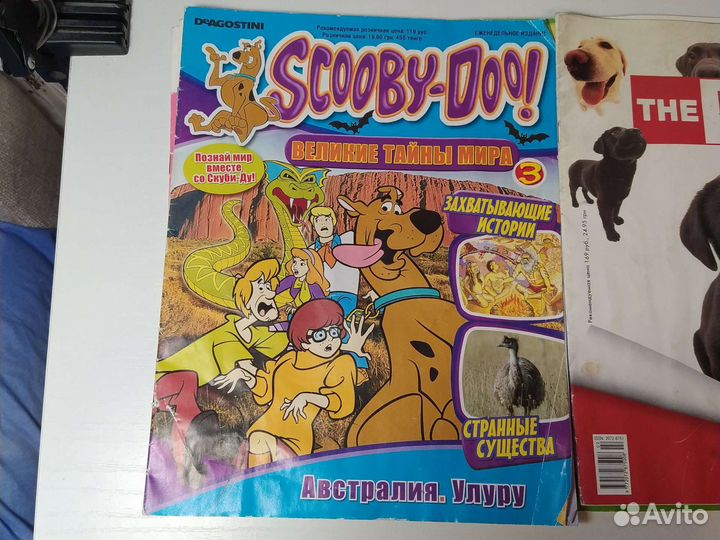 Журналы The cat collection