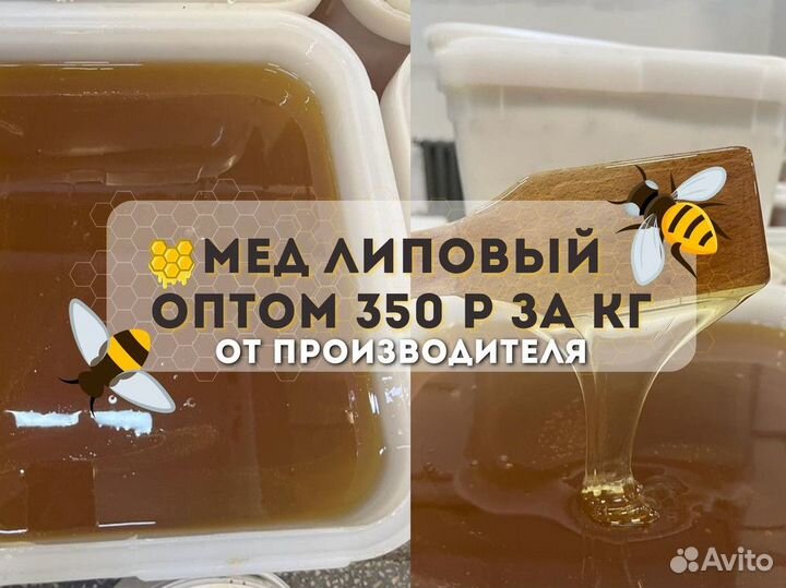 Натуральный мёд липовый. 2023 г. Опт