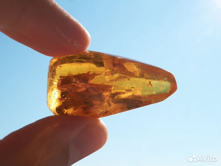 Натуральный балтийский янтарь с включением мухи