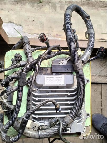 Мозги эбу на Газель