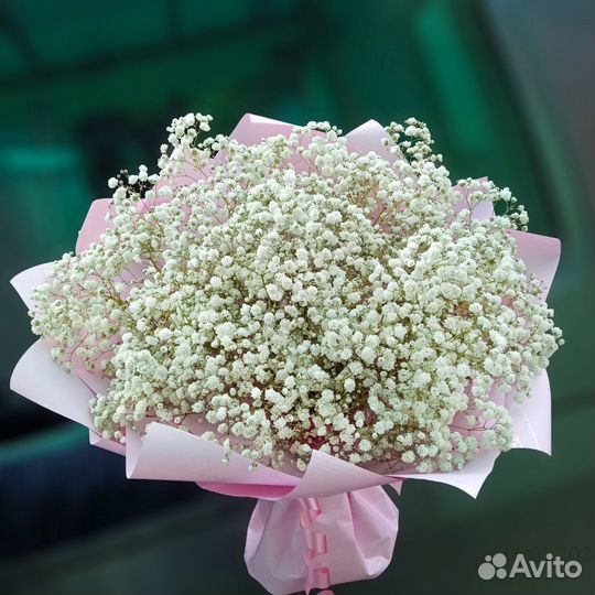 Гипсофила доставка