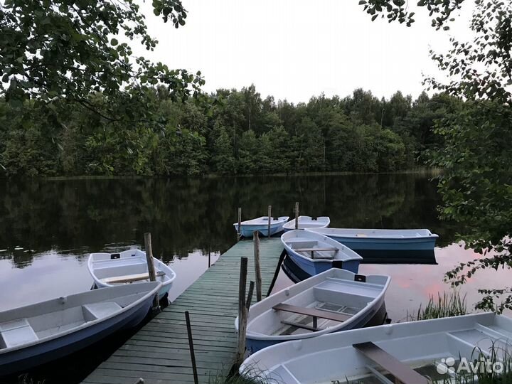 Аренда домиков на лесных озерах. Турбаза лето 2023