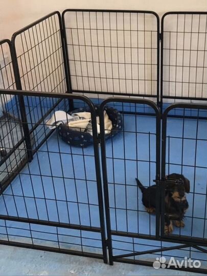 Усиленный вольер доставка в Мирный/Новоозёрное