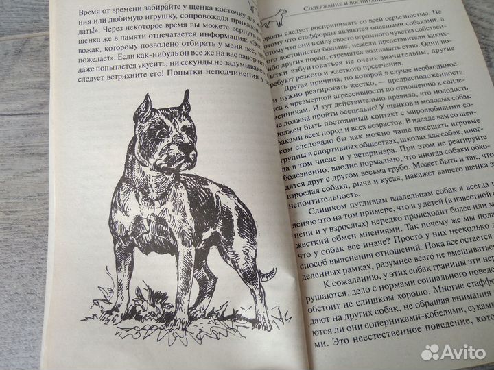 Книга Стаффордширский терьер