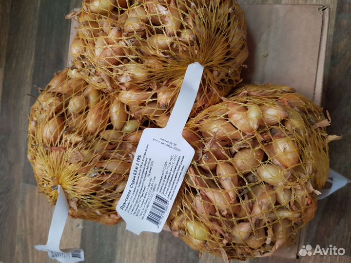 Лук севок Стурон