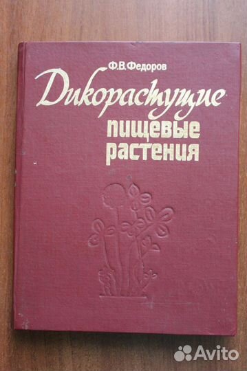 Дикорастущие пищевые растения