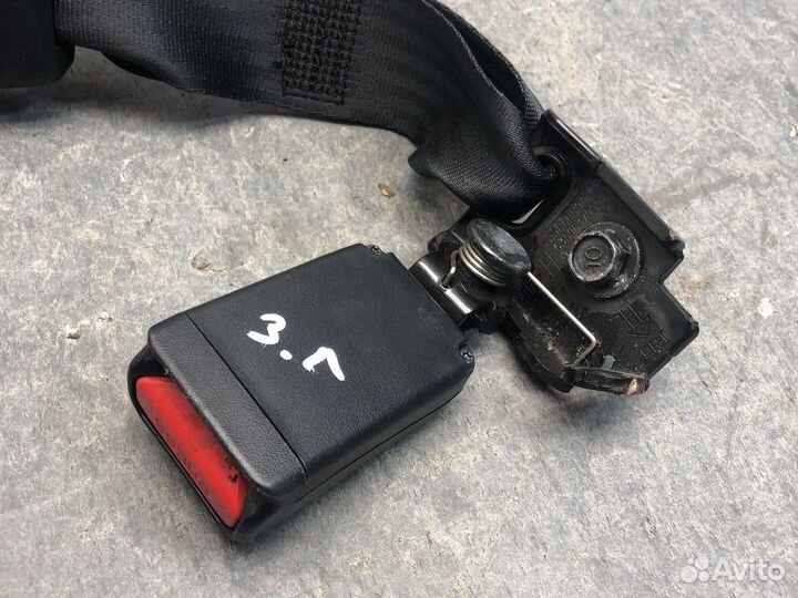 Зад лев защелки ремня Stinger