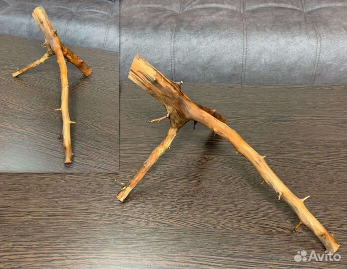 Коряги для аквариума/террариума