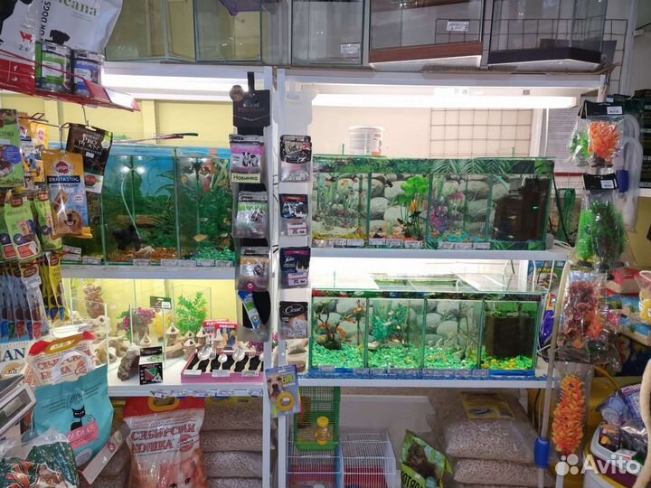 Аквариумные рыбки