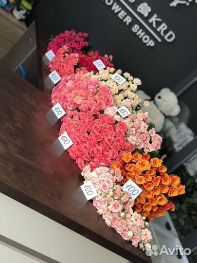 Кустовая роза Доставка Роза кустовая