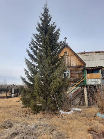 Дача 80 м² на участке 20 сот.