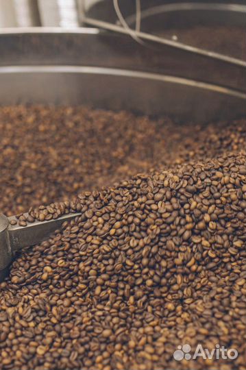 Ароматный кофе для кафе/вендинга/дома Makala