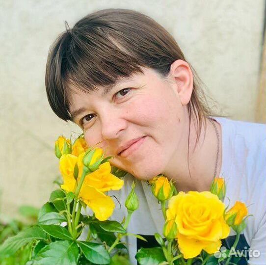 Массаж Сходня