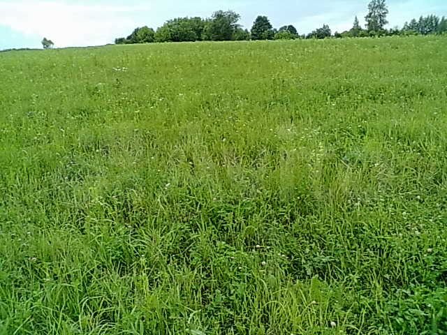 Участок 5,21 га (СНТ, ДНП)